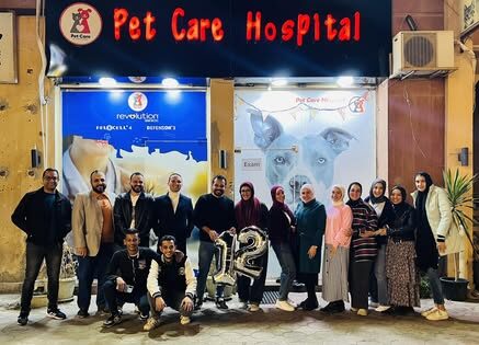 Pet Care Hospital
