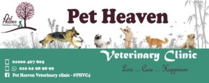 Pet Heaven Veterinary Clinic