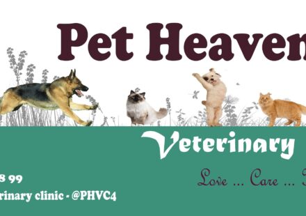 Pet Heaven Veterinary Clinic