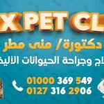 عيادة أليكس البيطرية | alex pet clinic