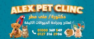 عيادة أليكس البيطرية | alex pet clinic