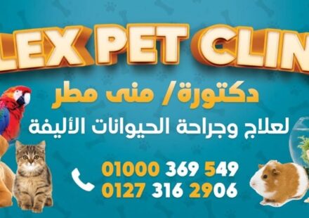 عيادة أليكس البيطرية | alex pet clinic
