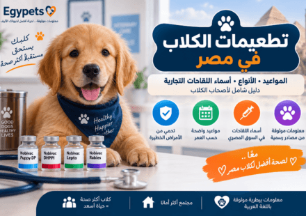 تطعيمات الكلاب في مصر