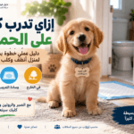 تدريب الكلب على مكان الحمام وتعليمه قضاء حاجته في المكان المخصص