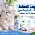 تنظيف القطط بالدراي شامبوو بدون ماء