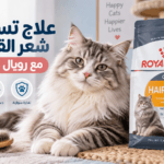 علاج تساقط شعر القطط