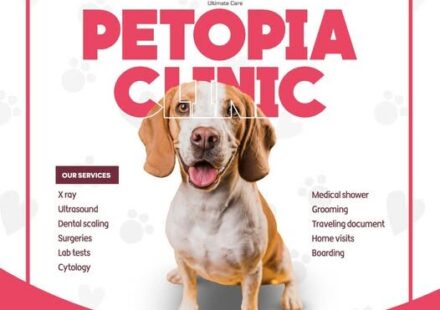 Petopia vet clinic