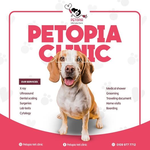 Petopia vet clinic
