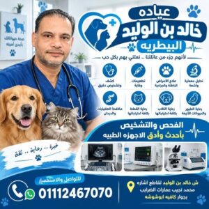 عيادة بيطرية في الاسكندرية سيدي بشر