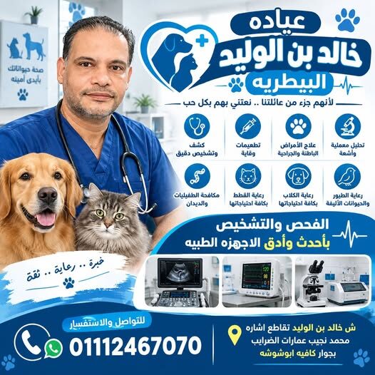 عيادة بيطرية في الاسكندرية سيدي بشر